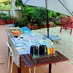 L'assiolo 4*