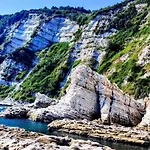 Bed and breakfast L'assiolo