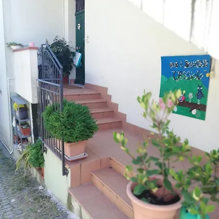 Bed & Breakfast L'assiolo 4*