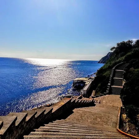 L'assiolo * Ancona