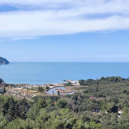 L'assiolo Ancona