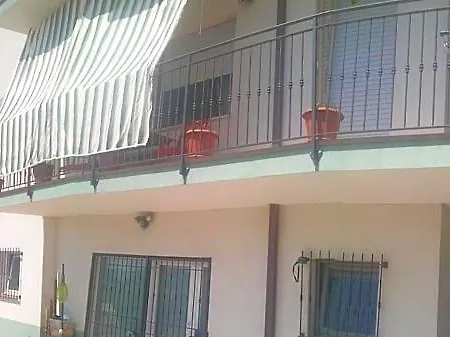 L'assiolo