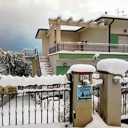L'assiolo