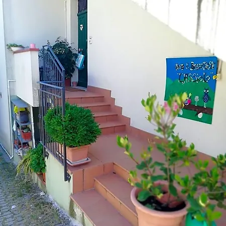 L'assiolo Ancona