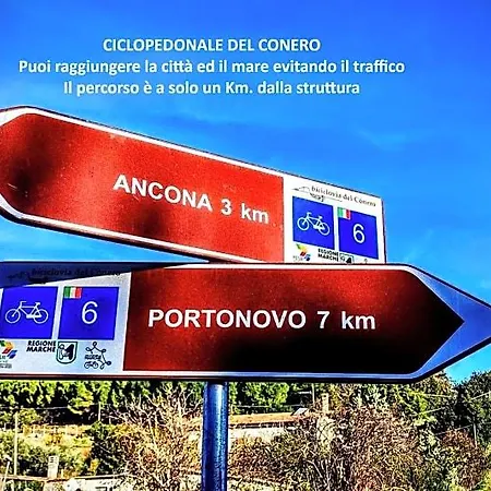 L'assiolo Ancona