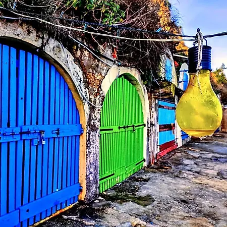 L'assiolo 4*